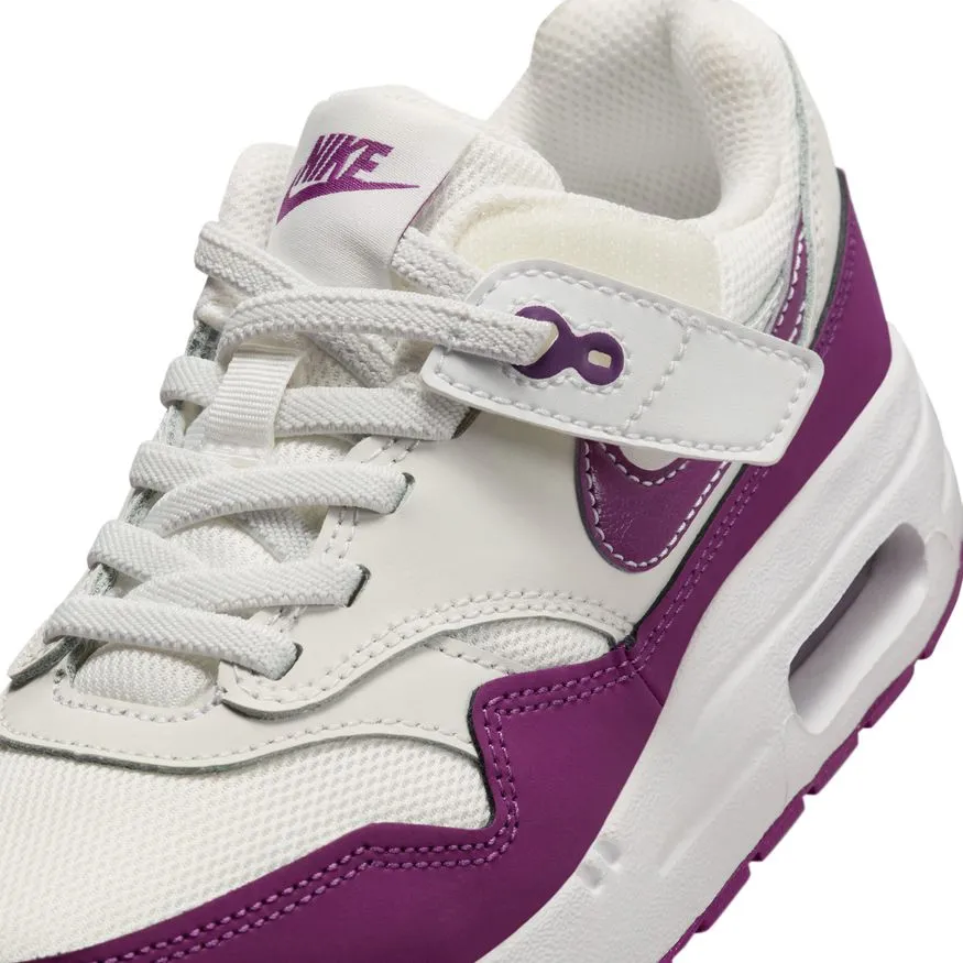 Nike Air Max 1 EasyOn DZ3308-109