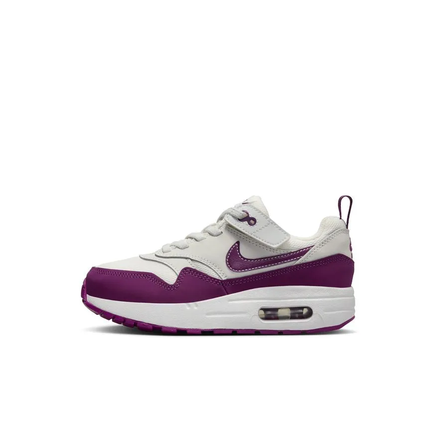 Nike Air Max 1 EasyOn DZ3308-109