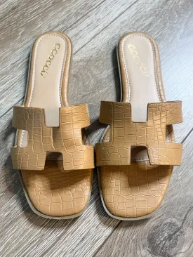 The Camel Croc Slides